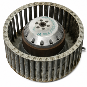 Bergschenhoek R2E160-AC05-17 WTW-motor reviseren